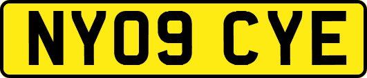 NY09CYE