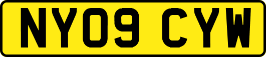 NY09CYW
