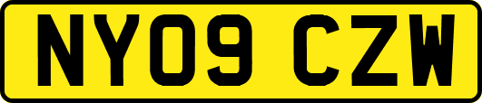 NY09CZW