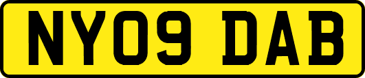NY09DAB