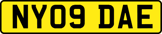 NY09DAE