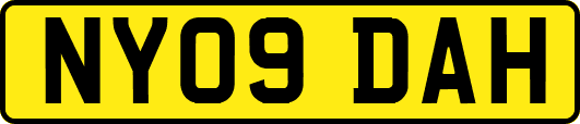NY09DAH
