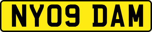 NY09DAM