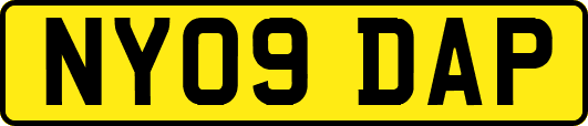 NY09DAP