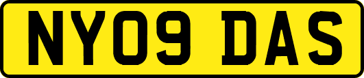 NY09DAS