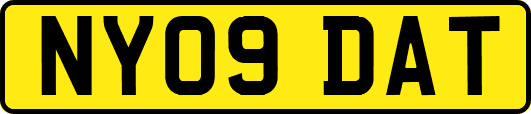 NY09DAT