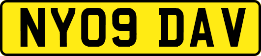 NY09DAV