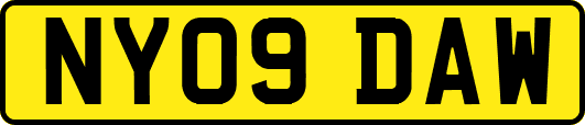 NY09DAW