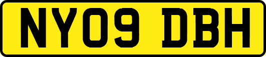 NY09DBH