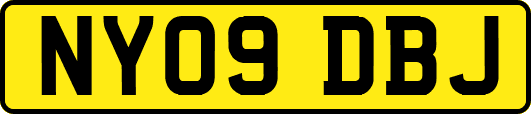 NY09DBJ