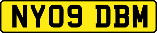 NY09DBM