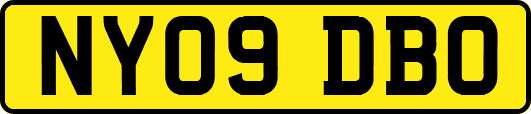 NY09DBO