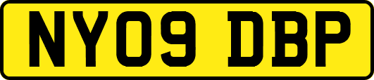 NY09DBP