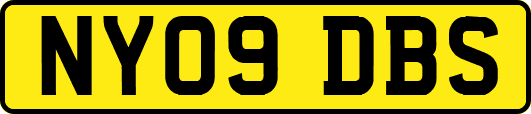 NY09DBS