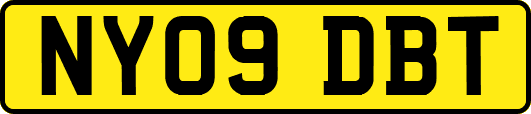NY09DBT