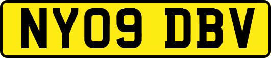 NY09DBV