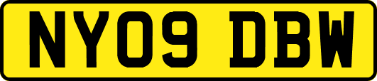 NY09DBW