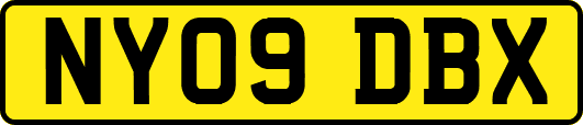 NY09DBX