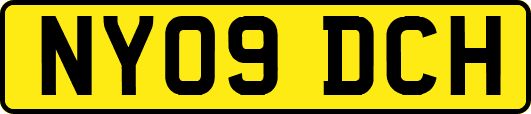 NY09DCH