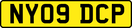 NY09DCP