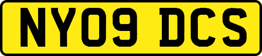 NY09DCS