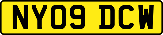 NY09DCW