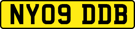 NY09DDB