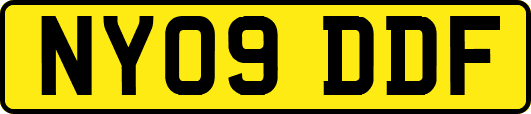 NY09DDF