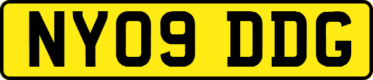 NY09DDG