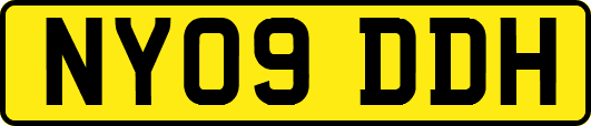 NY09DDH