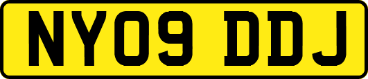 NY09DDJ