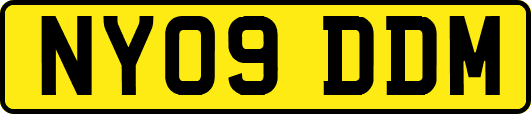 NY09DDM