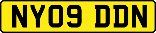 NY09DDN