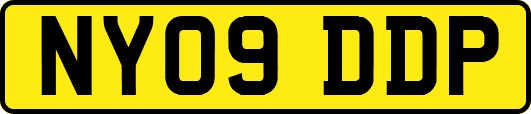 NY09DDP