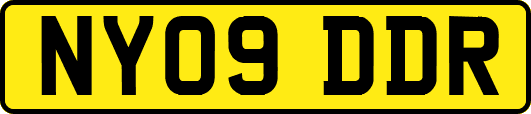NY09DDR
