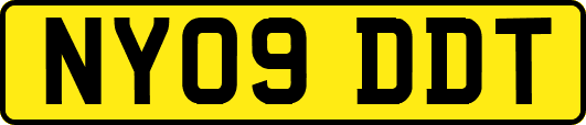 NY09DDT