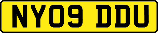 NY09DDU