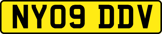 NY09DDV