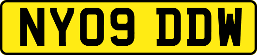 NY09DDW