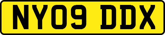 NY09DDX