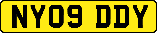 NY09DDY