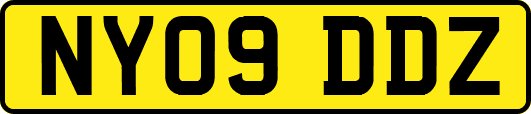 NY09DDZ