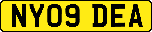 NY09DEA