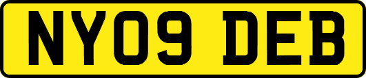 NY09DEB