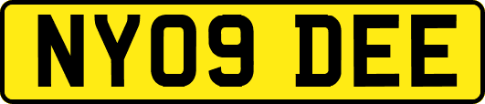 NY09DEE