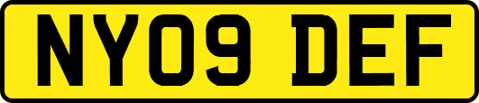 NY09DEF