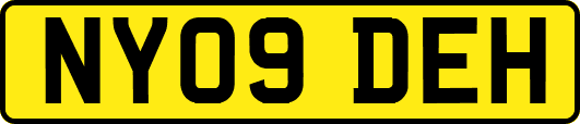 NY09DEH