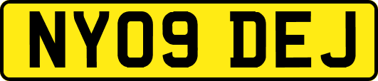 NY09DEJ