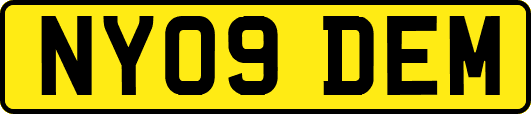 NY09DEM