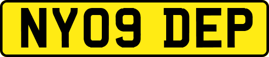 NY09DEP